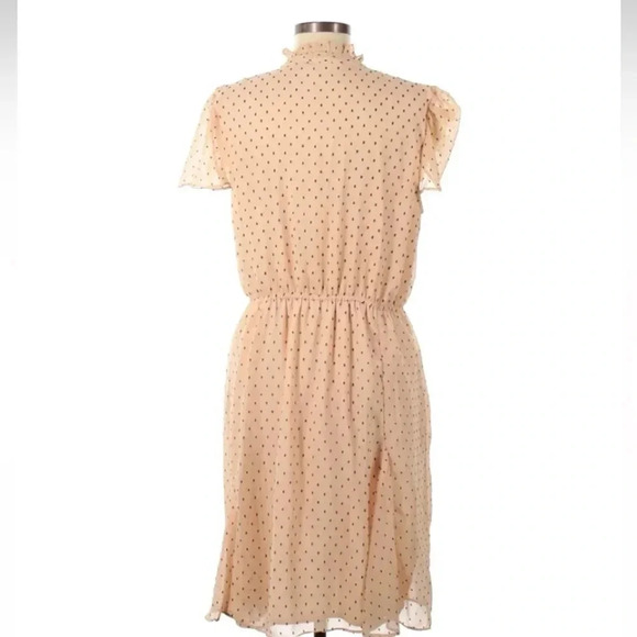 Walter Baker | Arthur Swiss Dot Dress Peach Size 8 Medium M Ruffle Tie Neck - Picture 3 of 5